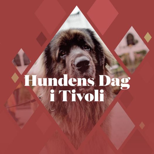 Hundens Dag i Tivoli, Københan